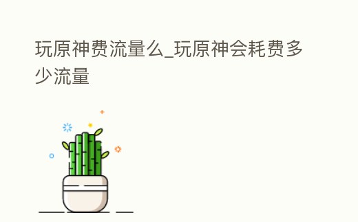 玩原神費流量么_玩原神會耗費多少流量