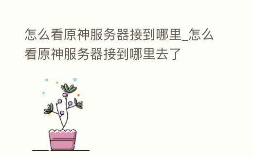 怎么看原神服務(wù)器接到哪里_怎么看原神服務(wù)器接到哪里去了