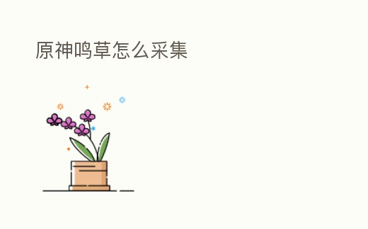 原神鳴草怎么采集