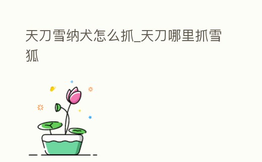 天刀雪納犬怎么抓_天刀哪里抓雪狐