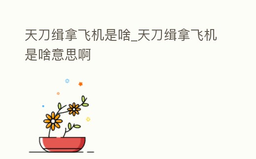 天刀緝拿飛機是啥_天刀緝拿飛機是啥意思啊