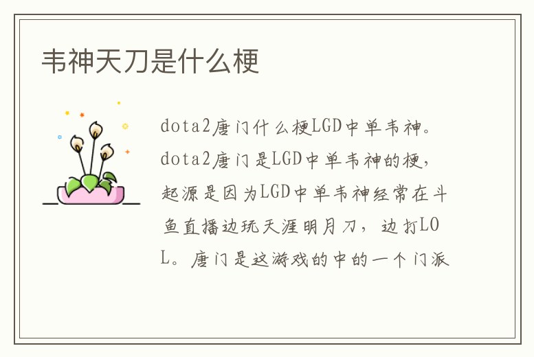 韋神天刀是什么梗