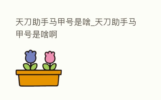 天刀助手馬甲號是啥_天刀助手馬甲號是啥啊