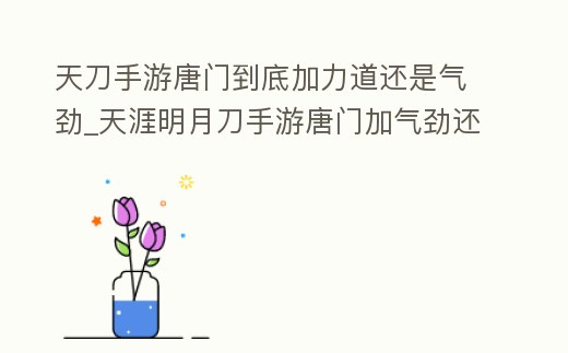 天刀手游唐門到底加力道還是氣勁_天涯明月刀手游唐門加氣勁還是力道