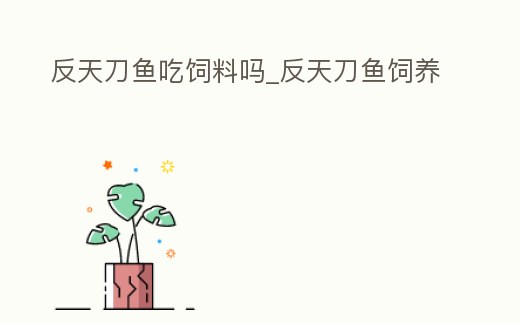反天刀魚吃飼料嗎_反天刀魚飼養