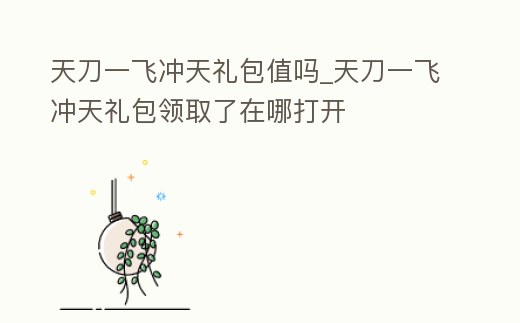 天刀一飛沖天禮包值嗎_天刀一飛沖天禮包領取了在哪打開