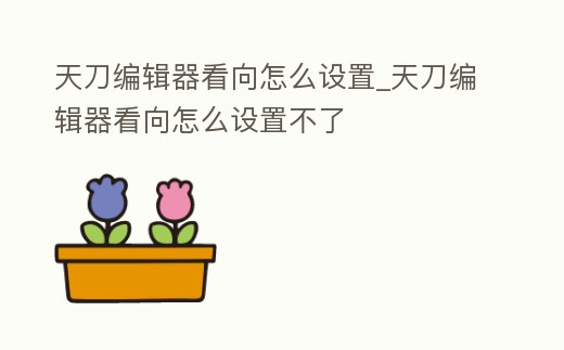 天刀編輯器看向怎么設置_天刀編輯器看向怎么設置不了
