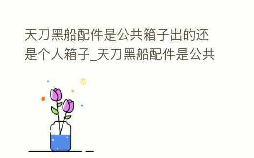 天刀黑船配件是公共箱子出的還是個人箱子_天刀黑船配件是公共箱子出的還是個人箱子的