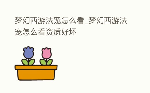 夢(mèng)幻西游法寵怎么看_夢(mèng)幻西游法寵怎么看資質(zhì)好壞