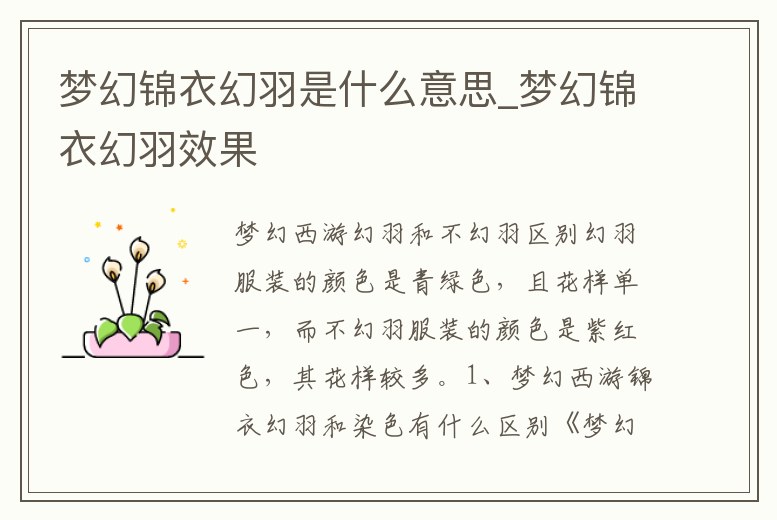 夢幻錦衣幻羽是什么意思_夢幻錦衣幻羽效果