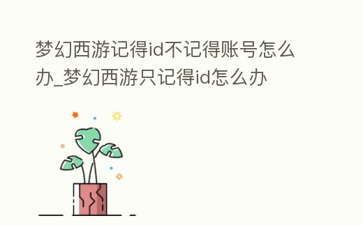 夢(mèng)幻西游記得id不記得賬號(hào)怎么辦_夢(mèng)幻西游只記得id怎么辦