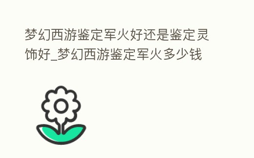 夢幻西游鑒定軍火好還是鑒定靈飾好_夢幻西游鑒定軍火多少錢