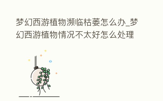 夢幻西游植物瀕臨枯萎怎么辦_夢幻西游植物情況不太好怎么處理