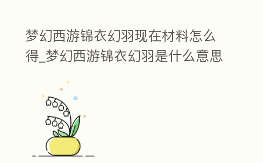 夢幻西游錦衣幻羽現在材料怎么得_夢幻西游錦衣幻羽是什么意思