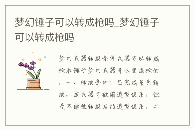 夢幻錘子可以轉成槍嗎_夢幻錘子可以轉成槍嗎