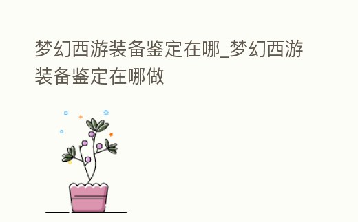 夢(mèng)幻西游裝備鑒定在哪_夢(mèng)幻西游裝備鑒定在哪做