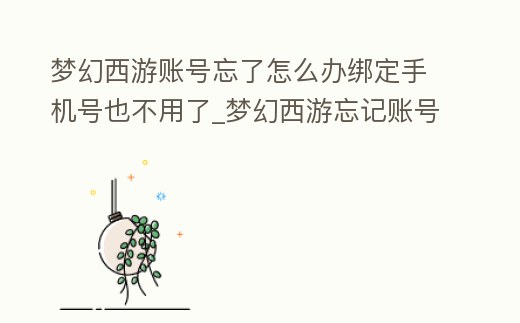 夢幻西游賬號忘了怎么辦綁定手機號也不用了_夢幻西游忘記賬號但是綁定了手機的
