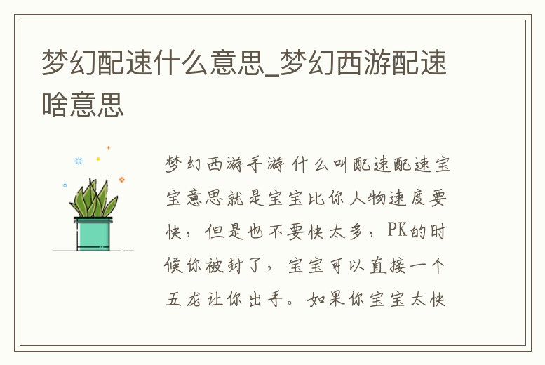 夢幻配速什么意思_夢幻西游配速啥意思