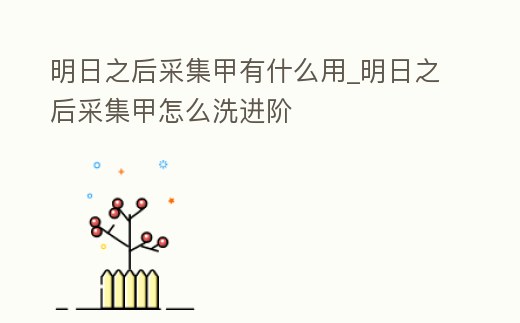 明日之后采集甲有什么用_明日之后采集甲怎么洗進階
