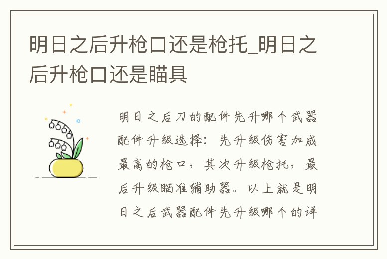 明日之后升槍口還是槍托_明日之后升槍口還是瞄具