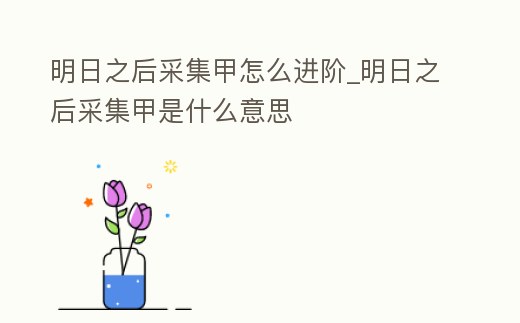 明日之后采集甲怎么進(jìn)階_明日之后采集甲是什么意思