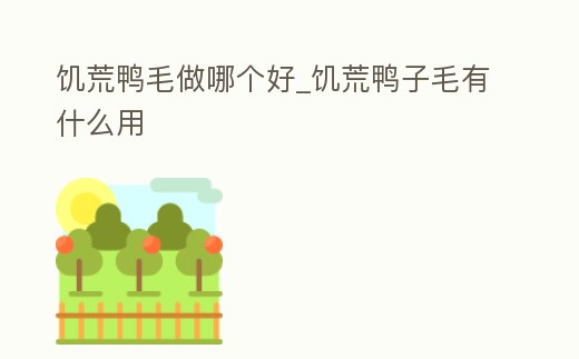 饑荒鴨毛做哪個好_饑荒鴨子毛有什么用