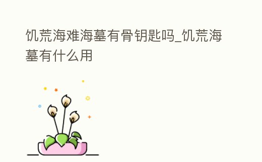 饑荒海難海墓有骨鑰匙嗎_饑荒海墓有什么用