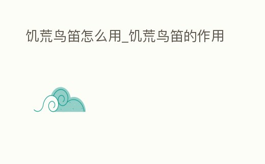 饑荒鳥笛怎么用_饑荒鳥笛的作用