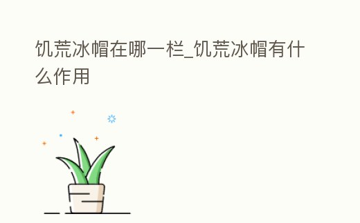 饑荒冰帽在哪一欄_饑荒冰帽有什么作用