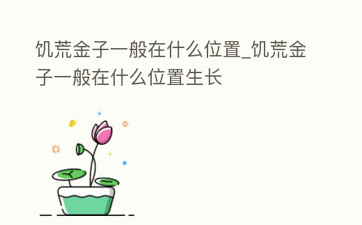 饑荒金子一般在什么位置_饑荒金子一般在什么位置生長