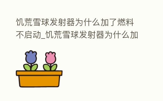 饑荒雪球發射器為什么加了燃料不啟動_饑荒雪球發射器為什么加了燃料沒反應