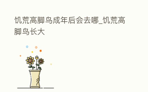 饑荒高腳鳥成年后會去哪_饑荒高腳鳥長大