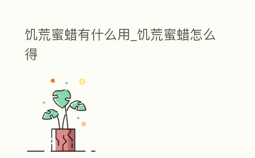 饑荒蜜蠟有什么用_饑荒蜜蠟怎么得