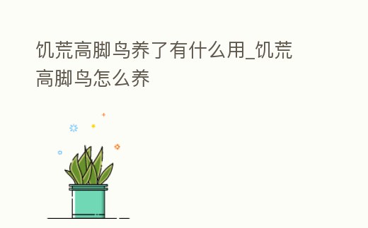饑荒高腳鳥養了有什么用_饑荒 高腳鳥怎么養