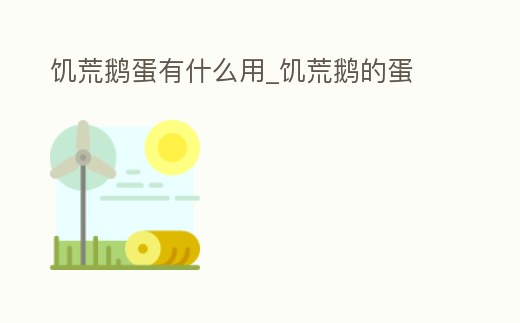 饑荒鵝蛋有什么用_饑荒鵝的蛋