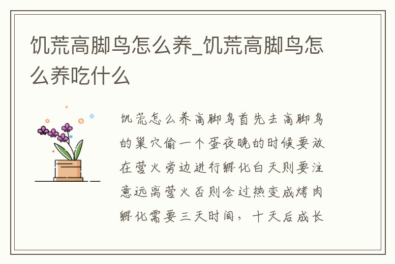 饑荒高腳鳥怎么養(yǎng)_饑荒高腳鳥怎么養(yǎng)吃什么