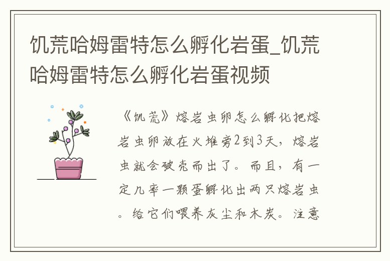 饑荒哈姆雷特怎么孵化巖蛋_饑荒哈姆雷特怎么孵化巖蛋視頻