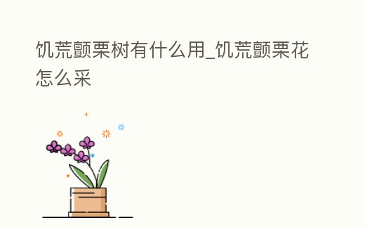 饑荒顫栗樹有什么用_饑荒顫栗花怎么采