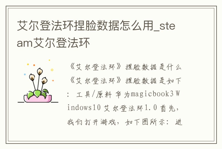 艾爾登法環(huán)捏臉數(shù)據(jù)怎么用_steam艾爾登法環(huán)