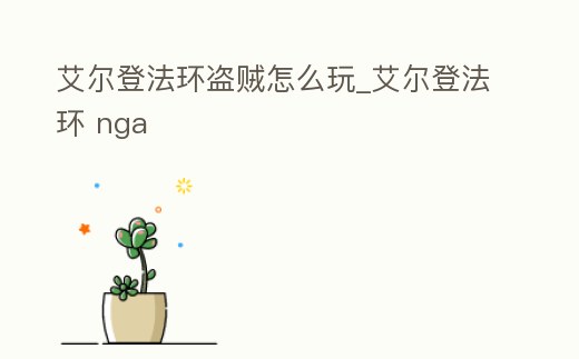 艾爾登法環(huán)盜賊怎么玩_艾爾登法環(huán) nga