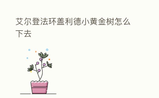 艾爾登法環蓋利德小黃金樹怎么下去