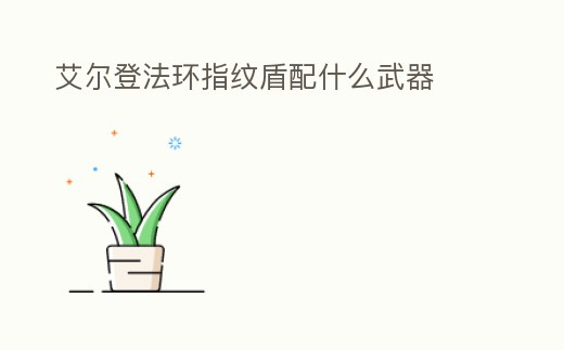 艾爾登法環指紋盾配什么武器