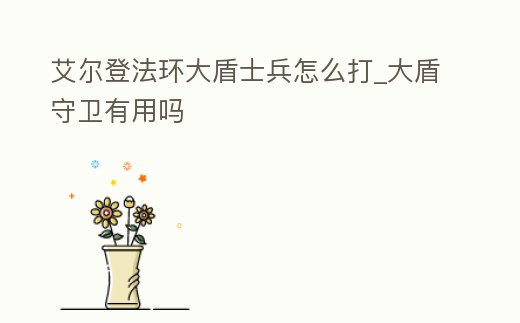 艾爾登法環大盾士兵怎么打_大盾守衛有用嗎
