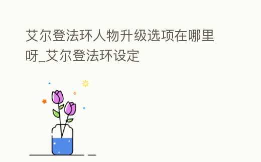 艾爾登法環人物升級選項在哪里呀_艾爾登法環設定