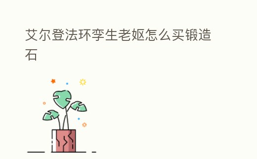 艾爾登法環孿生老嫗怎么買鍛造石