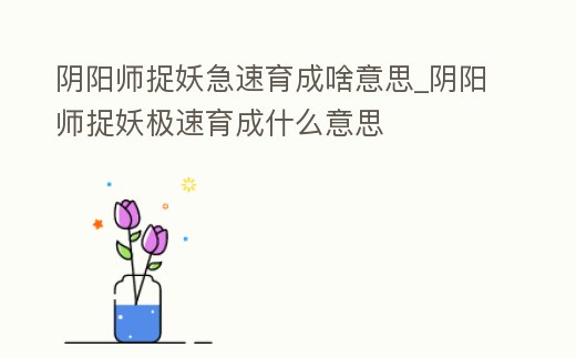 陰陽師捉妖急速育成啥意思_陰陽師捉妖極速育成什么意思