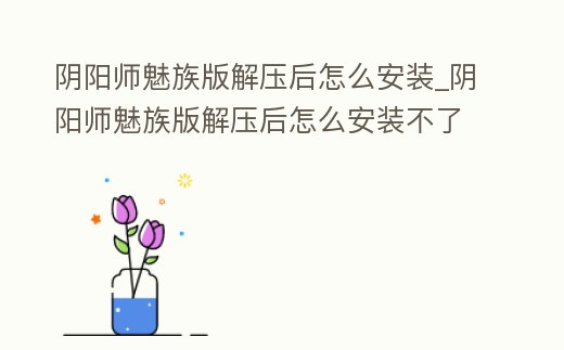 陰陽師魅族版解壓后怎么安裝_陰陽師魅族版解壓后怎么安裝不了