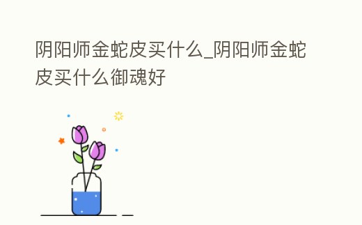 陰陽師金蛇皮買什么_陰陽師金蛇皮買什么御魂好