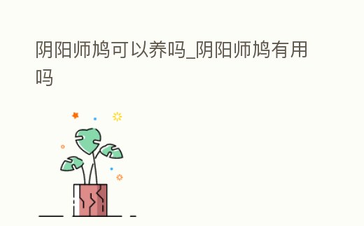 陰陽師鳩可以養(yǎng)嗎_陰陽師鳩有用嗎