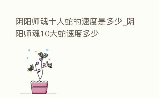陰陽師魂十大蛇的速度是多少_陰陽師魂10大蛇速度多少